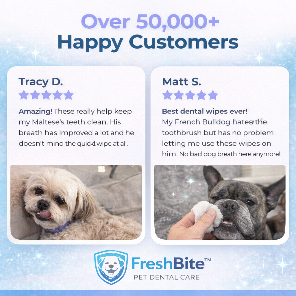 FreshBite Wipes™ [ FREE TODAY]