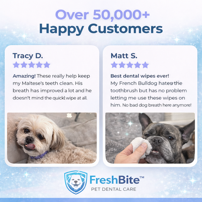 FreshBite Wipes™ [ FREE TODAY]
